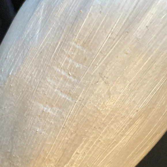 Sculpture cat Bird Figurine on Driftwood hand painted